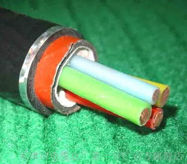 rs 485通訊電纜國(guó)標(biāo)廠家 rs 485通訊電纜國(guó)標(biāo)廠家