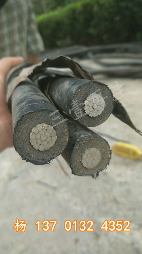 2021年沙洋船用電纜回收 集團(tuán)在線報(bào)價(jià)服務(wù)全面啟動